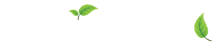 Kitchen & Bath Renovation